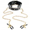 COLLAR WITH NIPPLE CLAMPS FETISH FANTASY GOLD
