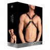 OUCH! ADONIS BODY HARNESS