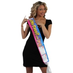 PARTY BAND "SHOULD I GET MARRIED…?" IN SPANISH