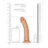 REALROCK CURVED REALISTIC DILDO WITH SUCTION CUP 7 /18 CM 