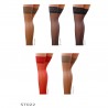 PASSION STOCKINGS ST022 RED (17 DEN)