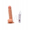 VIBRATEUR R&Eacute;ALISTE VIBE REALISTIX 10V - MOD.3 - 22CM CANDY LUST