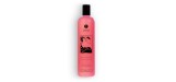 GEL DE BANHO SHUNGA FRUTOS EXÓTICOS 500ML