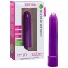 VIBRADOR MINI VIBE ROXO PEQUENO
